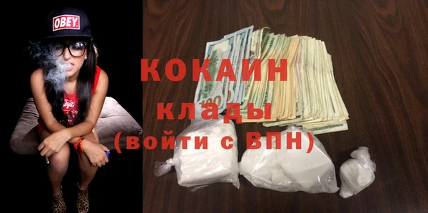 прущий лед Алзамай