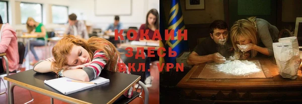 прущий лед Алзамай
