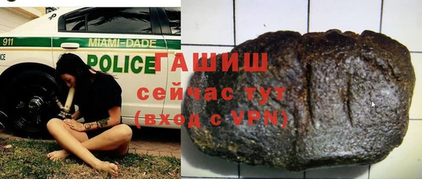 прущий лед Алзамай